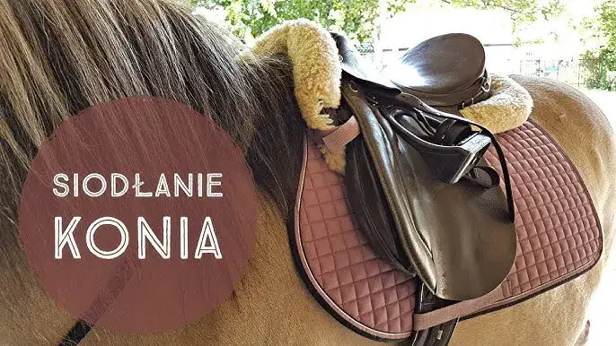 Jak osiodłać konia: uniknij błędów i zapewnij komfort zwierzęciu