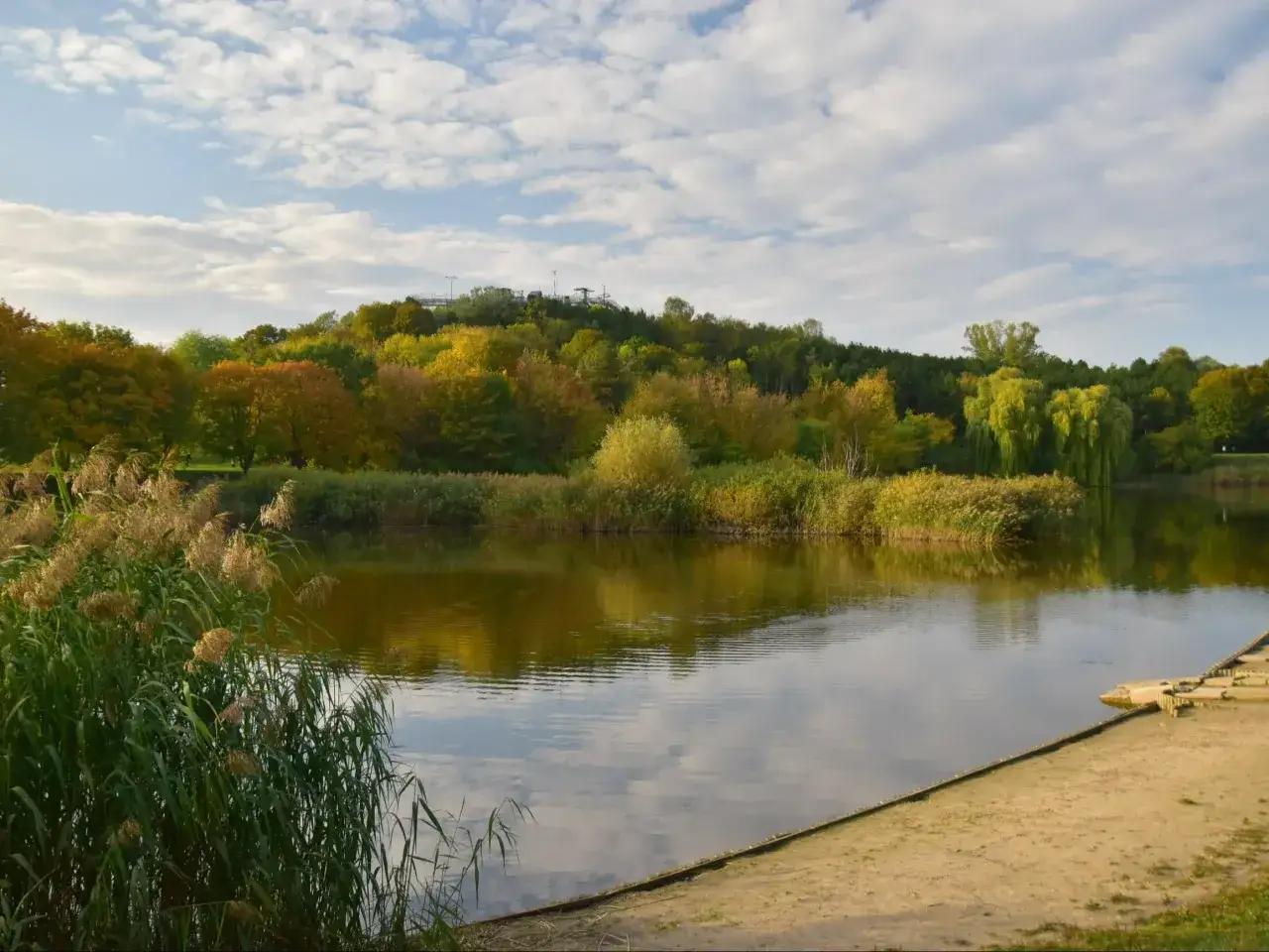 Najlepsze atrakcje w Parku Szczęśliwickim, które musisz poznać