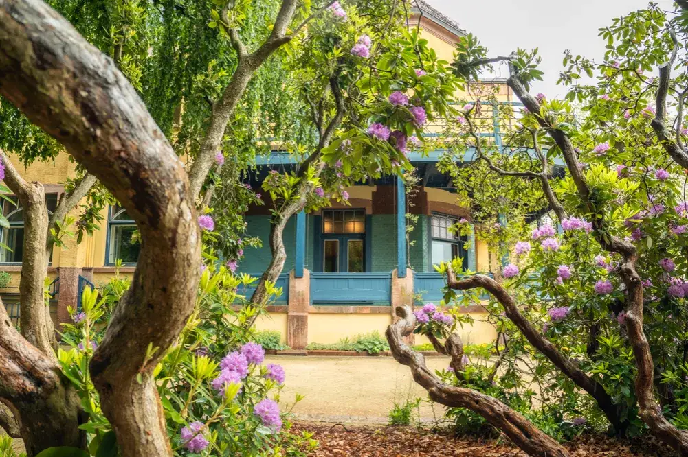 Niezapomniane atrakcje w Akabie – co warto zobaczyć w Jordanii