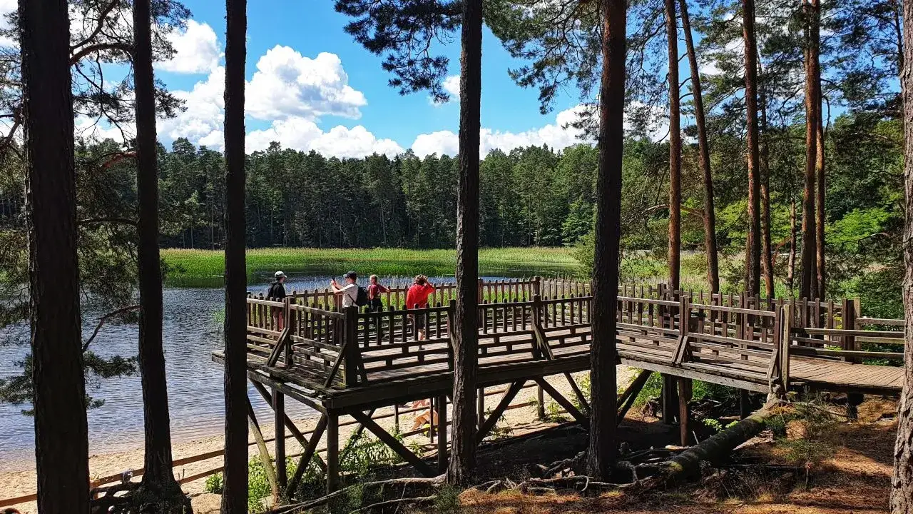 Najlepsze atrakcje w Ropczycach, które musisz zobaczyć w okolicy