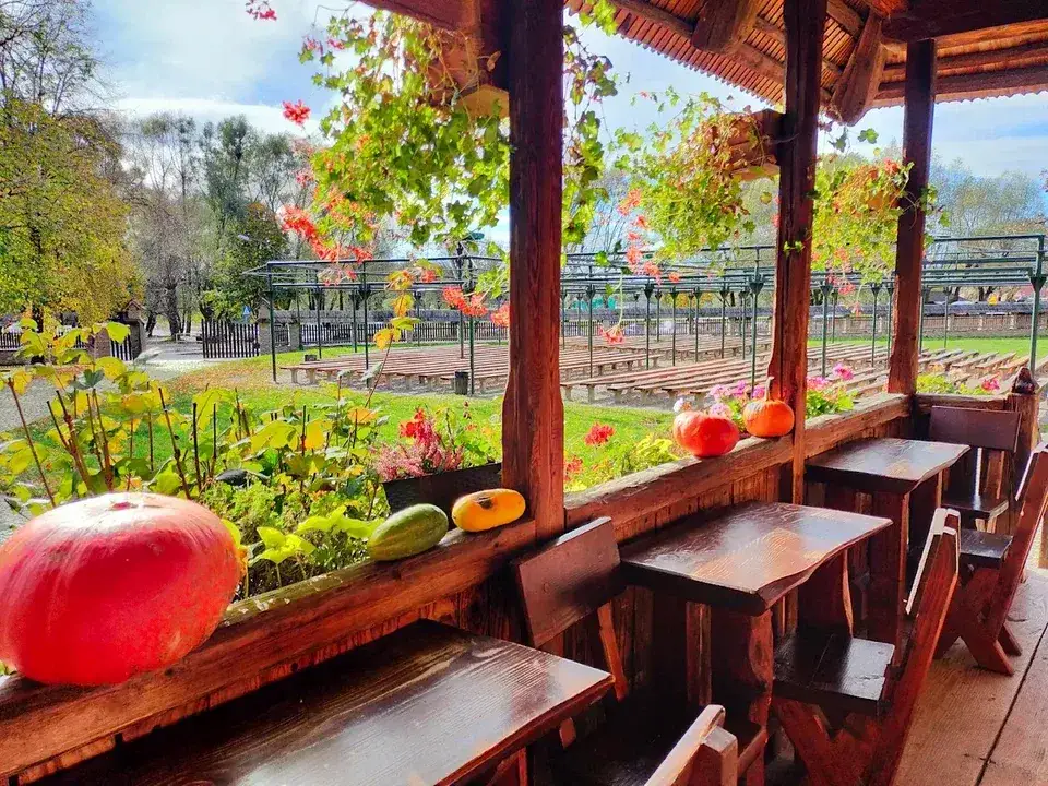 Gdzie zjeść w Sanoku? Odkryj najlepsze restauracje i smaki regionu