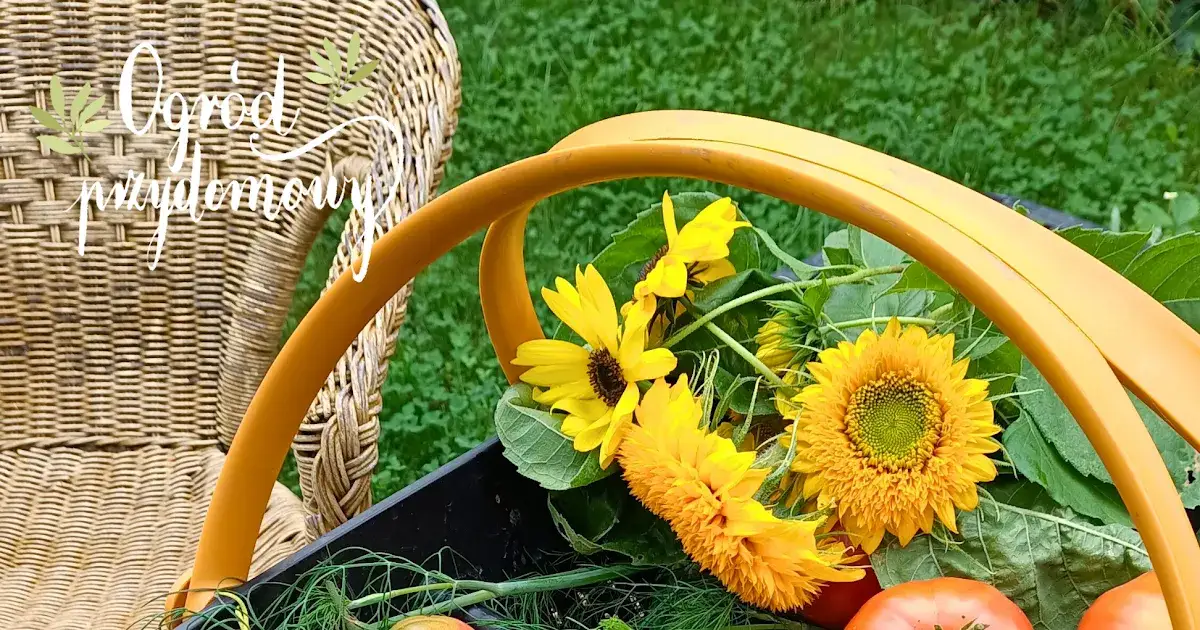 Jakie warzywa opłaca się uprawiać, aby maksymalizować zyski?