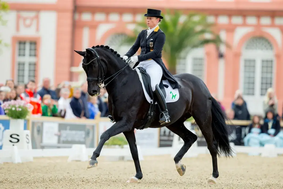 Jeździectwo na igrzyskach olimpijskich: Polskie sukcesy i wyzwania