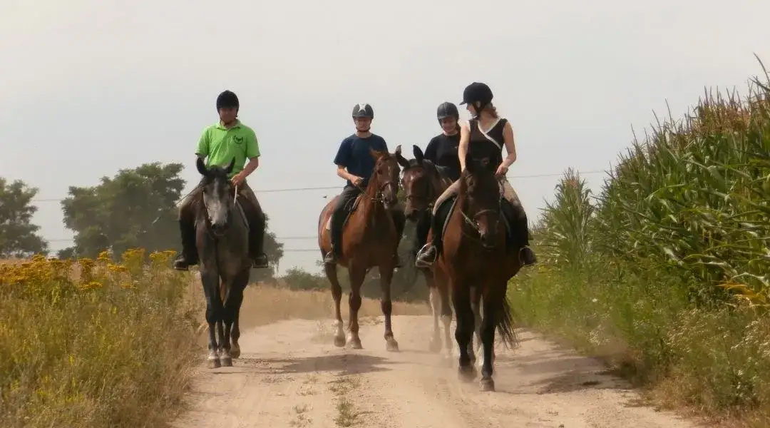 Stadnina Mazowsze: Najlepsze miejsca na jazdę konną i relaks