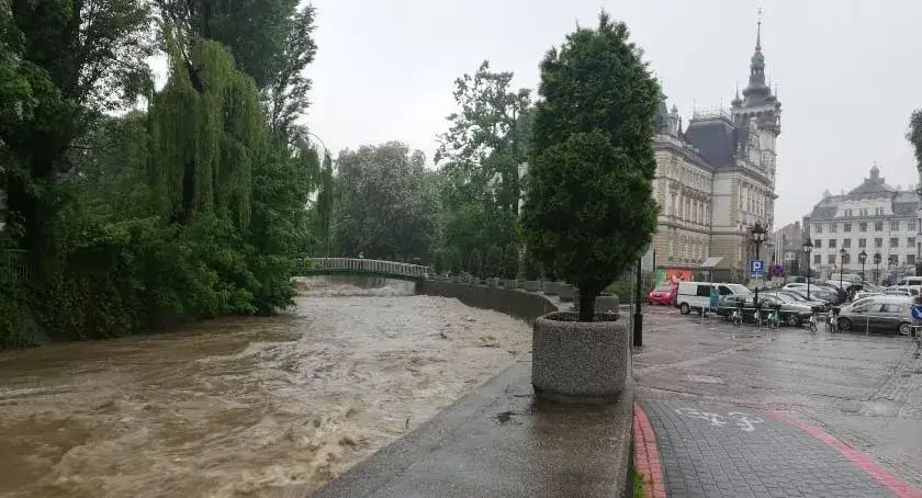 Opinie o klimacie w Bielsku-Białej: co się dzieje z pogodą?