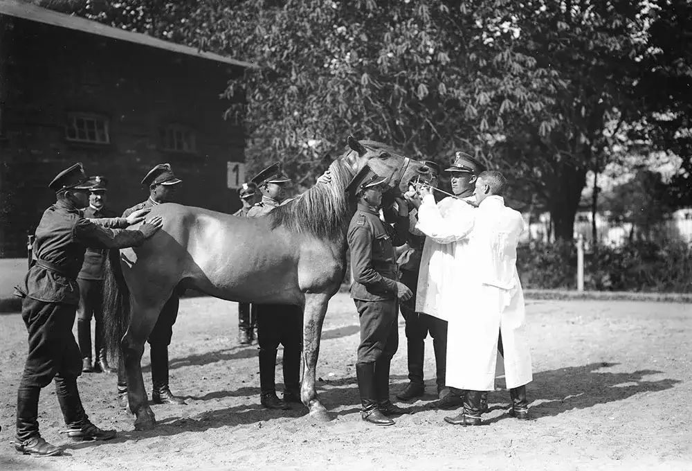 Muzeum jeździectwa w Warszawie – fascynujące wystawy i historia