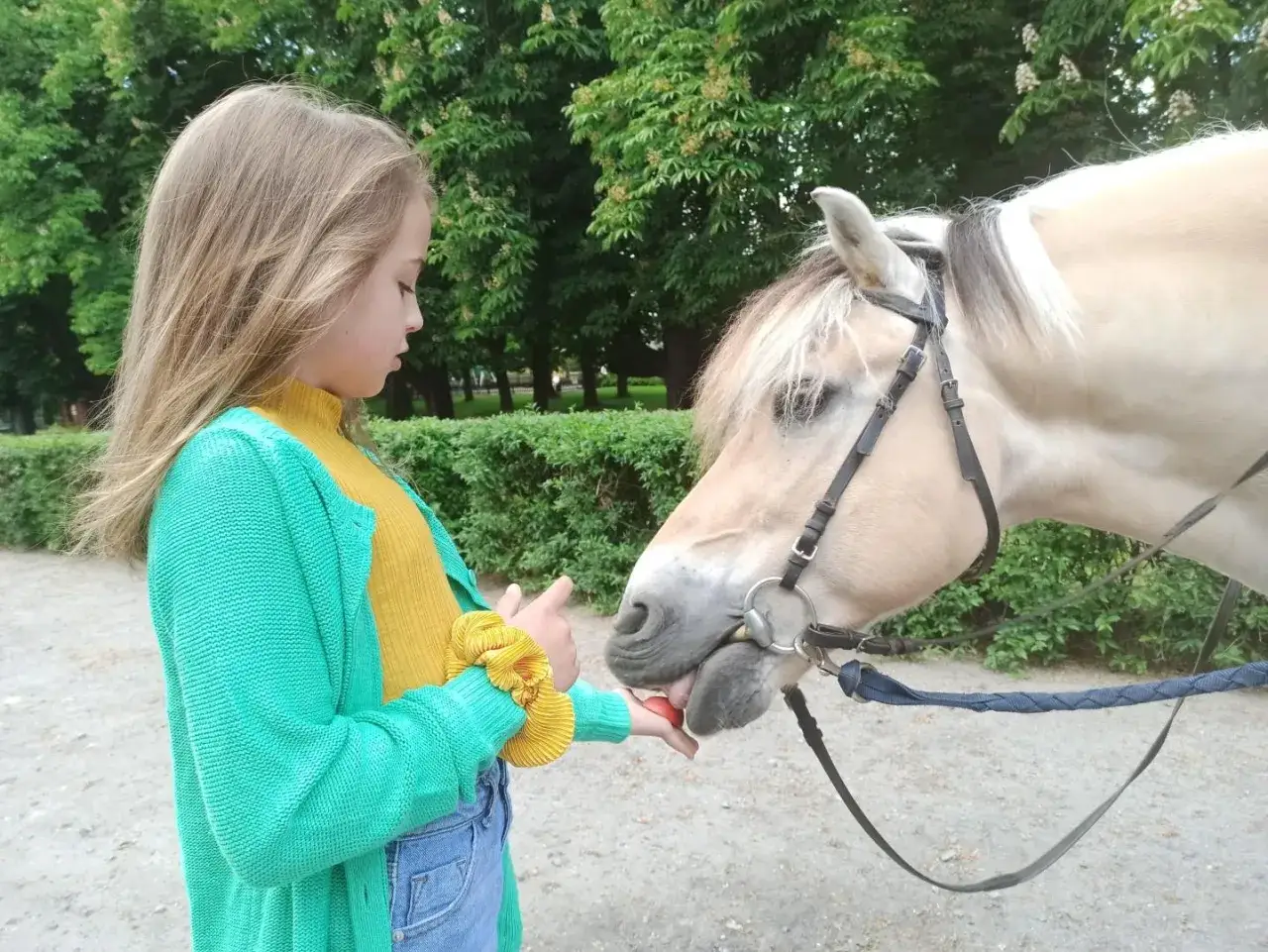 Stadnina Koni Moszna: Odkryj hodowlę, zamek i atrakcje!