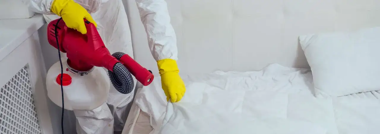 Czysta kanapa domowymi sposobami? Sprawdzone triki Łukasza Maciejewskiego