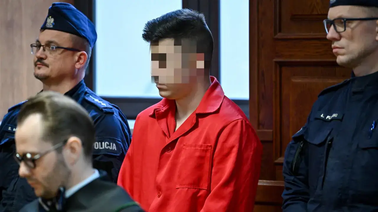 Myślę, że "Sąd apelacyjny: Twoja druga szansa? Rola, sprawy i decyzje" będzie idealnym tytułem.