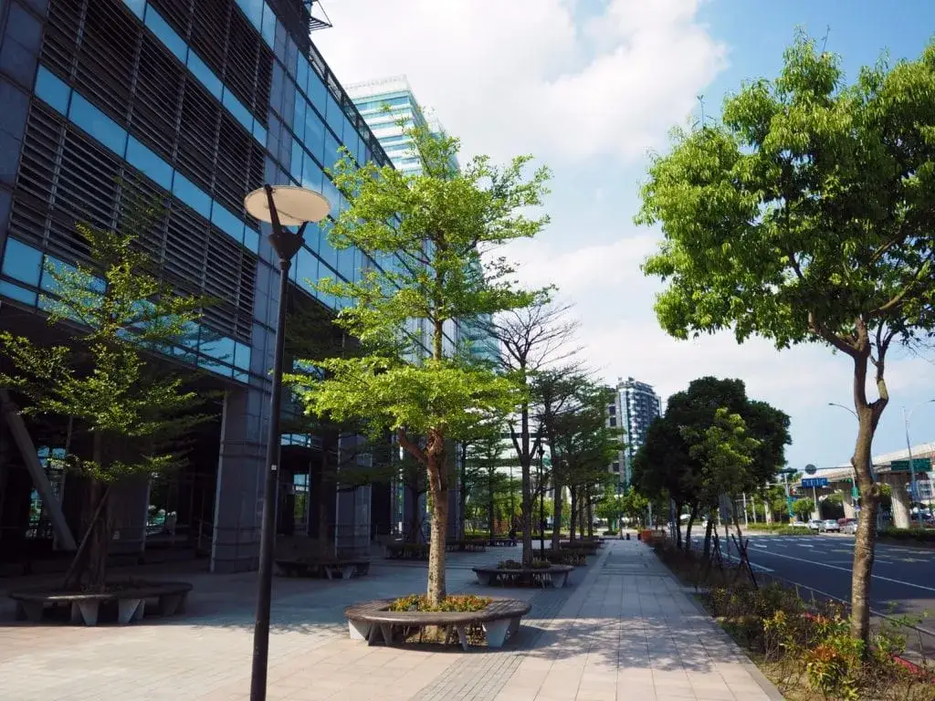 Jakie drzewa sadzić na osiedlach, aby uniknąć problemów w przyszłości?