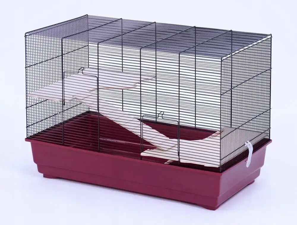 Ile kosztuje klatka dla szczura? Ceny, które zaskoczą każdego właściciela