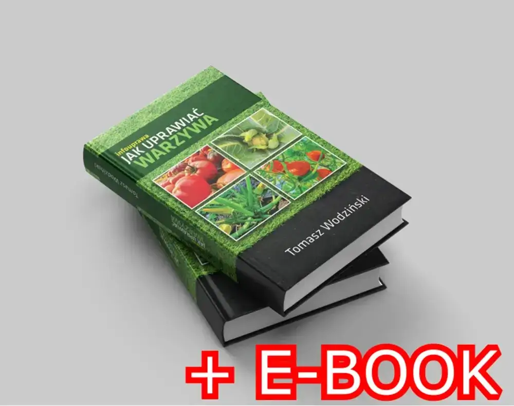 Tomasz Wodziński (infouprawa): Sekrety obfitych warzyw w ogrodzie