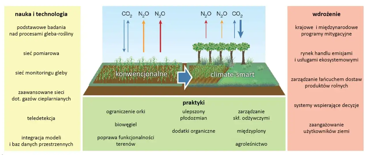 Jak klimat wpływa na rolnictwo? Wyzwania, szanse i adaptacja
