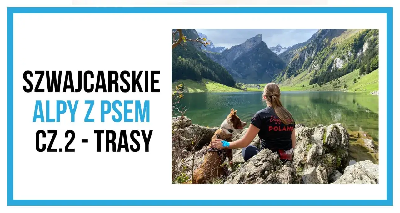 Szwajcaria góry gdzie jechać? Kobieta z psem podziwia alpejskie jezioro i szczyty. Idealne trasy dla miłośników gór i czworonogów.