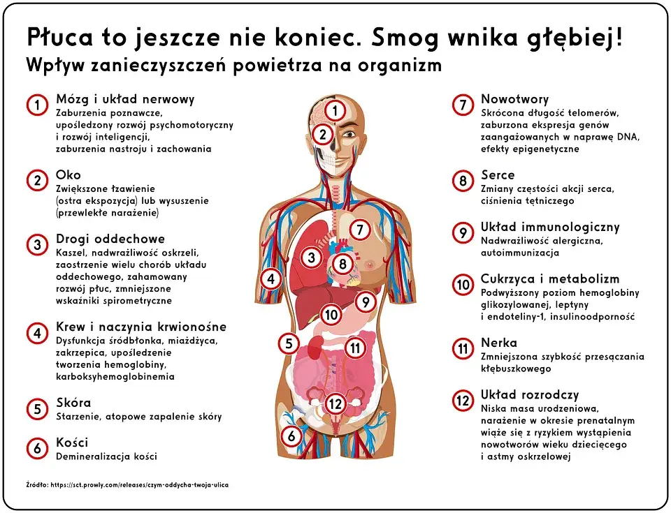 Czy smog powoduje rozwój astmy u dzieci? Oto niepokojące fakty