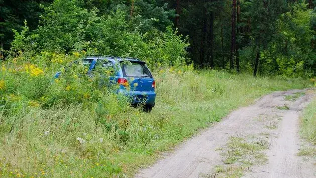Jak odnaleźć auto w lesie? Sprawdzone sposoby i procedury