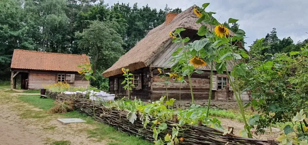 Skansen w Sierpcu: Kompletny przewodnik po Muzeum Wsi Mazowieckiej