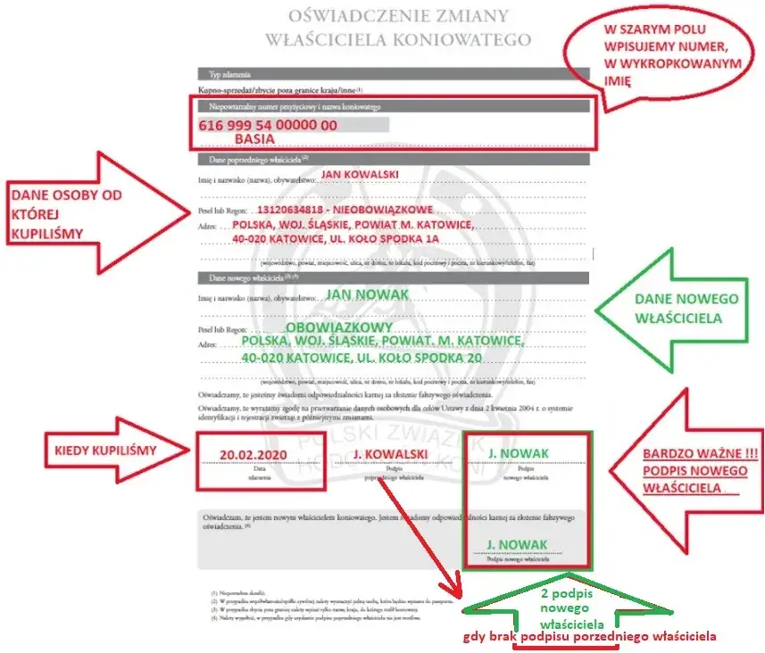 Jak przepisać konia na siebie? Uniknij błędów i zbierz dokumenty