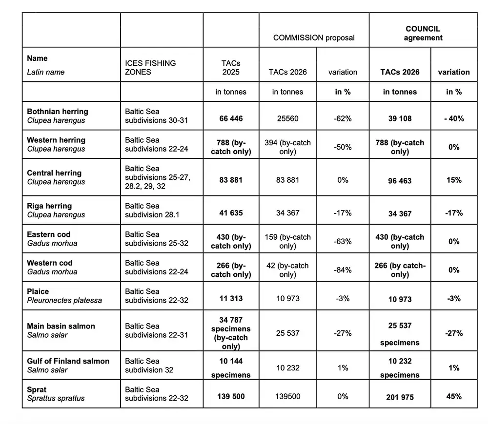 Dorsz w Bałtyku 2026: Połów dozwolony? Wszystkie zasady i limity.