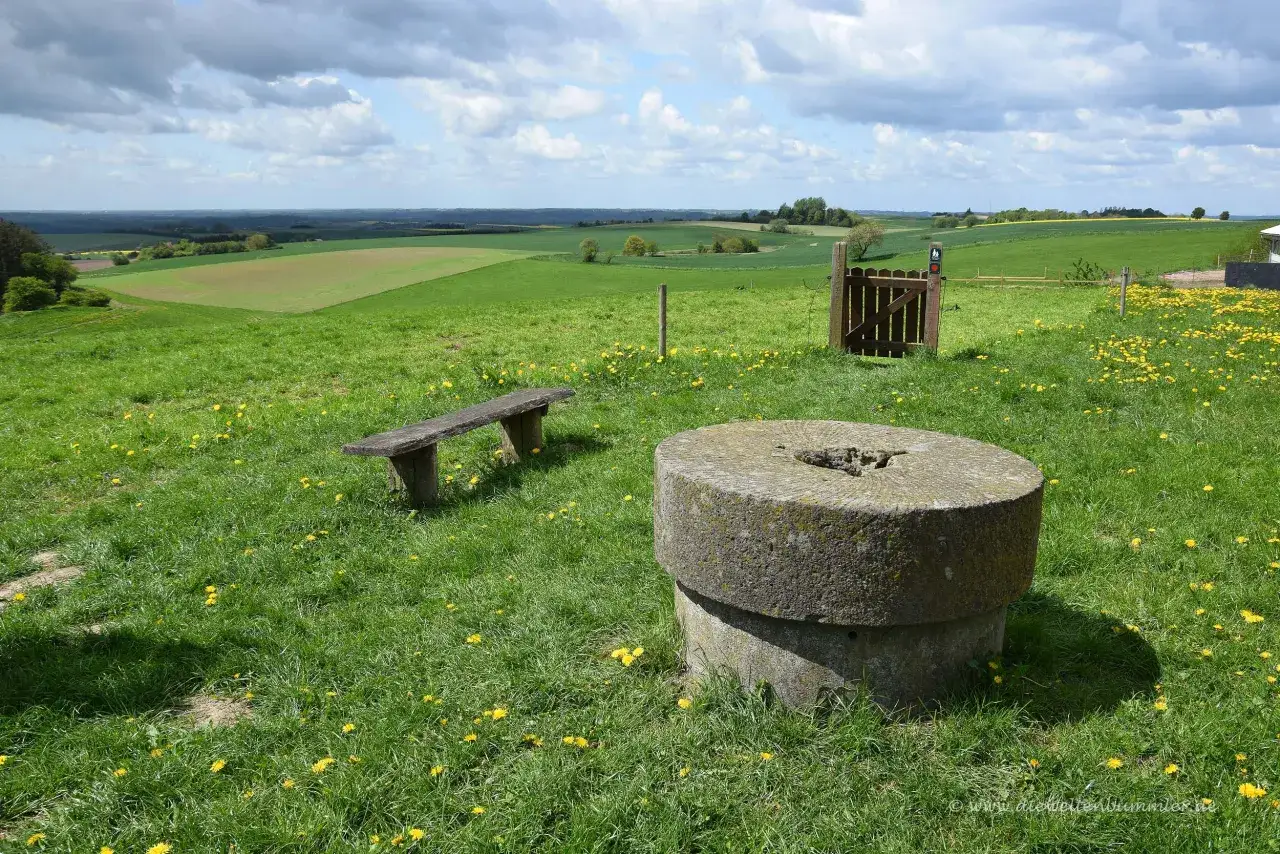 Dänemarks höchster Berg: Warum Møllehøj alle überrascht