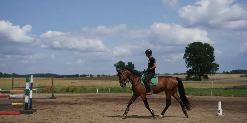 Nauka jeździectwa: Jak uniknąć błędów początkujących jeźdźców