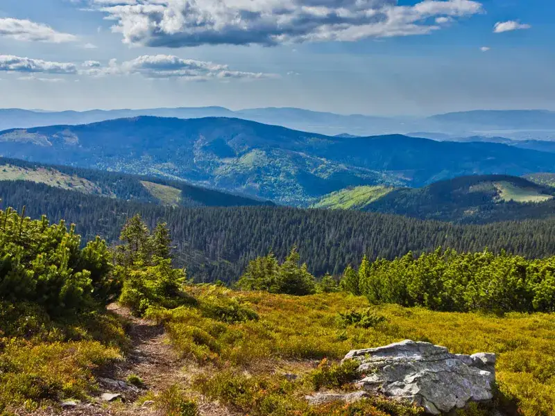 Zawoja: Jakie góry ją otaczają? Poznaj Królową Beskidów!