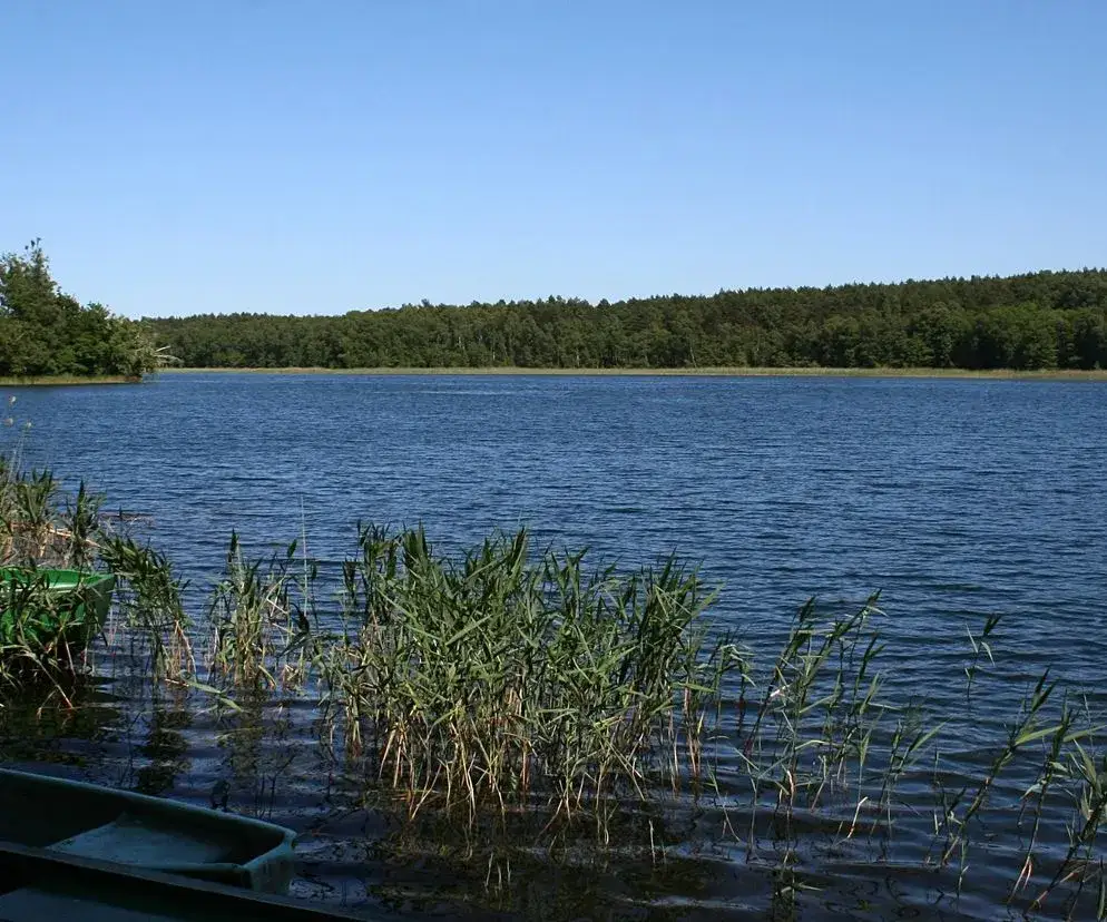 Idealne jezioro w Kujawsko-Pomorskiem? Znajdź je z ekspertem!
