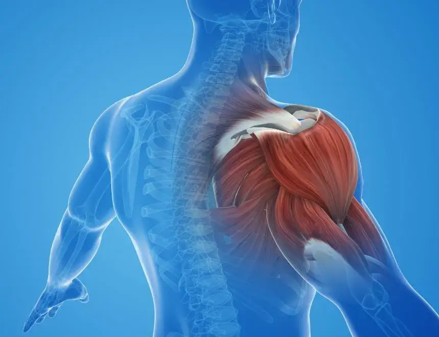 Contractura muscular: Identifica el "nudo" y dile adiós al dolor.