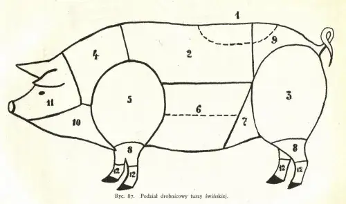 Polędwica wieprzowa - odkryj, z której części świni pochodzi