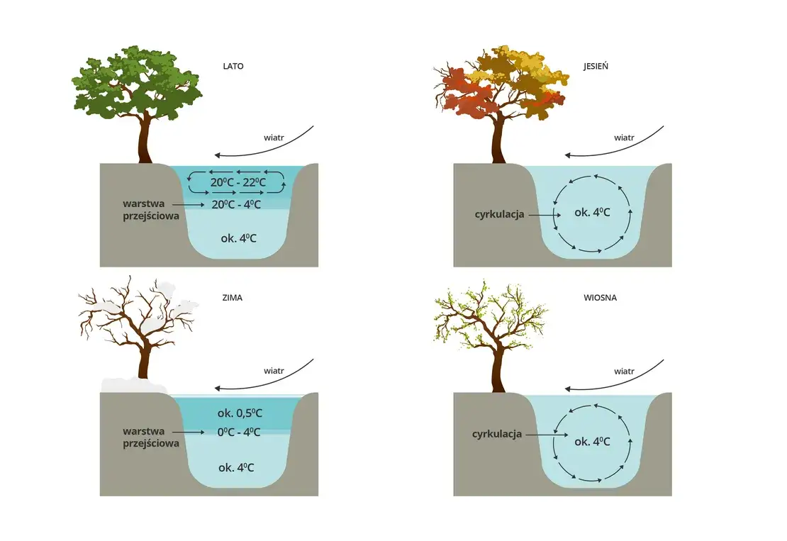 Jak długo kwitnie woda w jeziorze? Czas trwania i wpływ na ekosystem