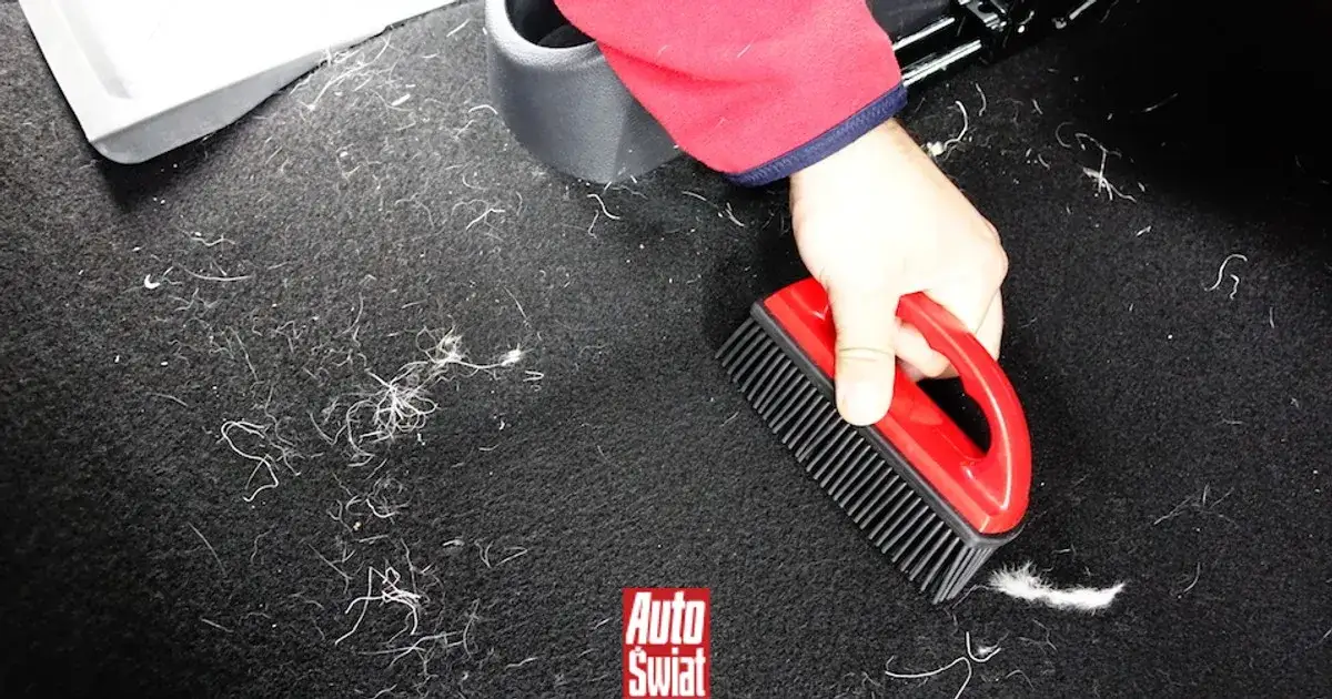 Skuteczne sposoby na to, czym usunąć sierść z tapicerki bez trudu