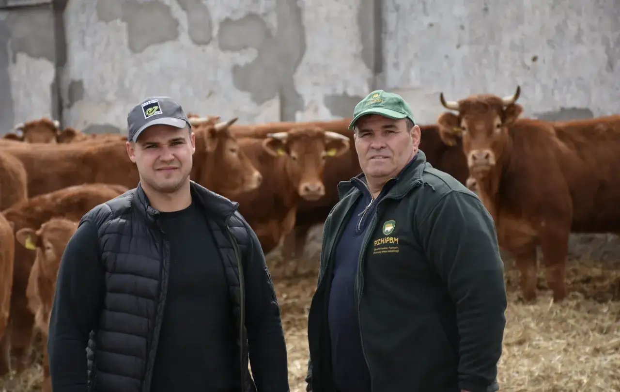 Dwóch mężczyzn na tle stada brązowych krów. Jeden z nich nosi czapkę z logo, drugi zieloną z napisem. System alkierzowy zapewnia im komfortowe warunki.