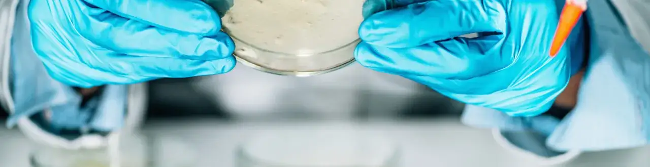 Jak założyć laboratorium mikrobiologiczne - kluczowe wymagania i procedury