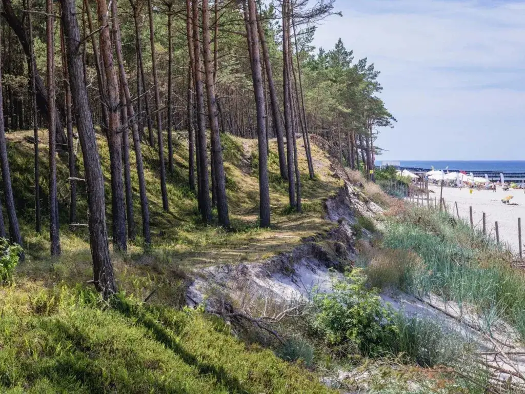 Najlepsze atrakcje w Dźwirzynie, które musisz zobaczyć na wakacjach