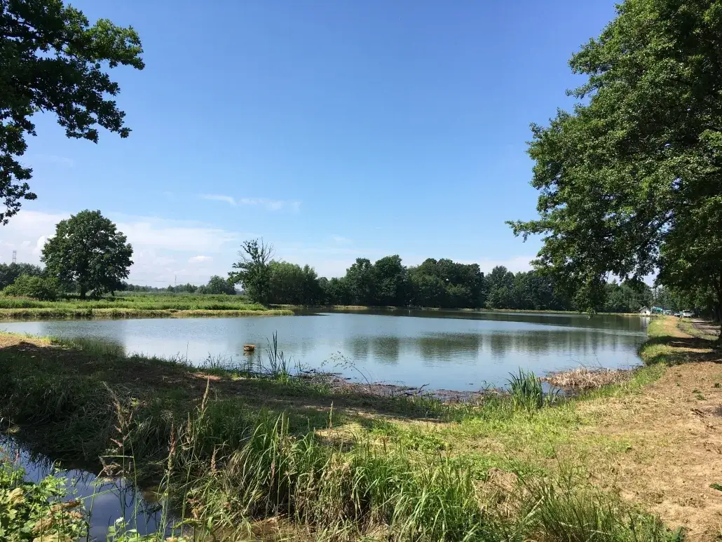 Cennik łowiska pod borem: poznaj ceny i warunki rezerwacji