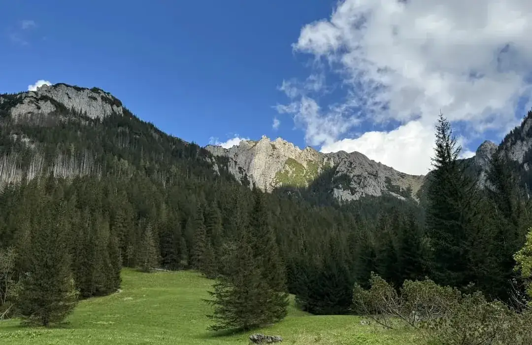 Dolina Kościeliska i Chochołowska: najlepsze szlaki i atrakcje 2024