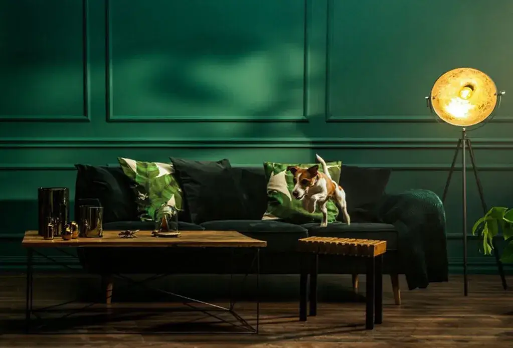 Jaka farba zmywalna - wybierz najlepsze rozwiązanie do swojego wnętrza