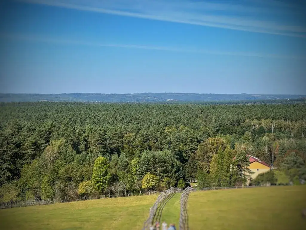 Lasy Janowskie: Przewodnik po atrakcjach. Odkryj dziką puszczę!