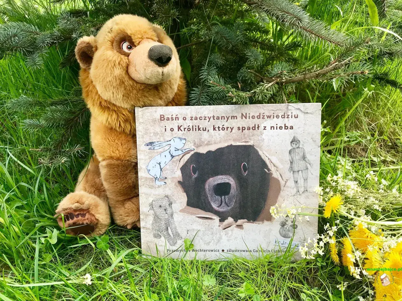 Baśń o zaczytanym niedźwiedziu - piękna opowieść dla dzieci pełna emocji