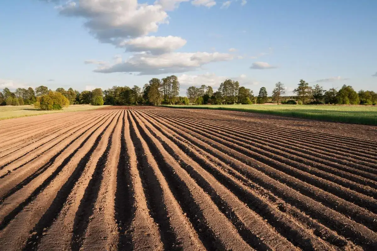 65 dni na pozwolenie na budowę: Kalendarzowe czy robocze? Rozwiewam wątpliwości!