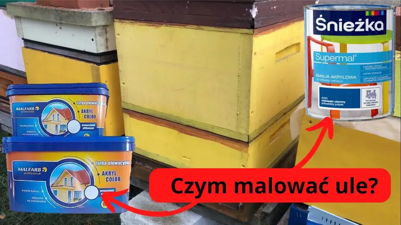 Czym malować ule poliuretanowe, aby uniknąć złuszczania farby?