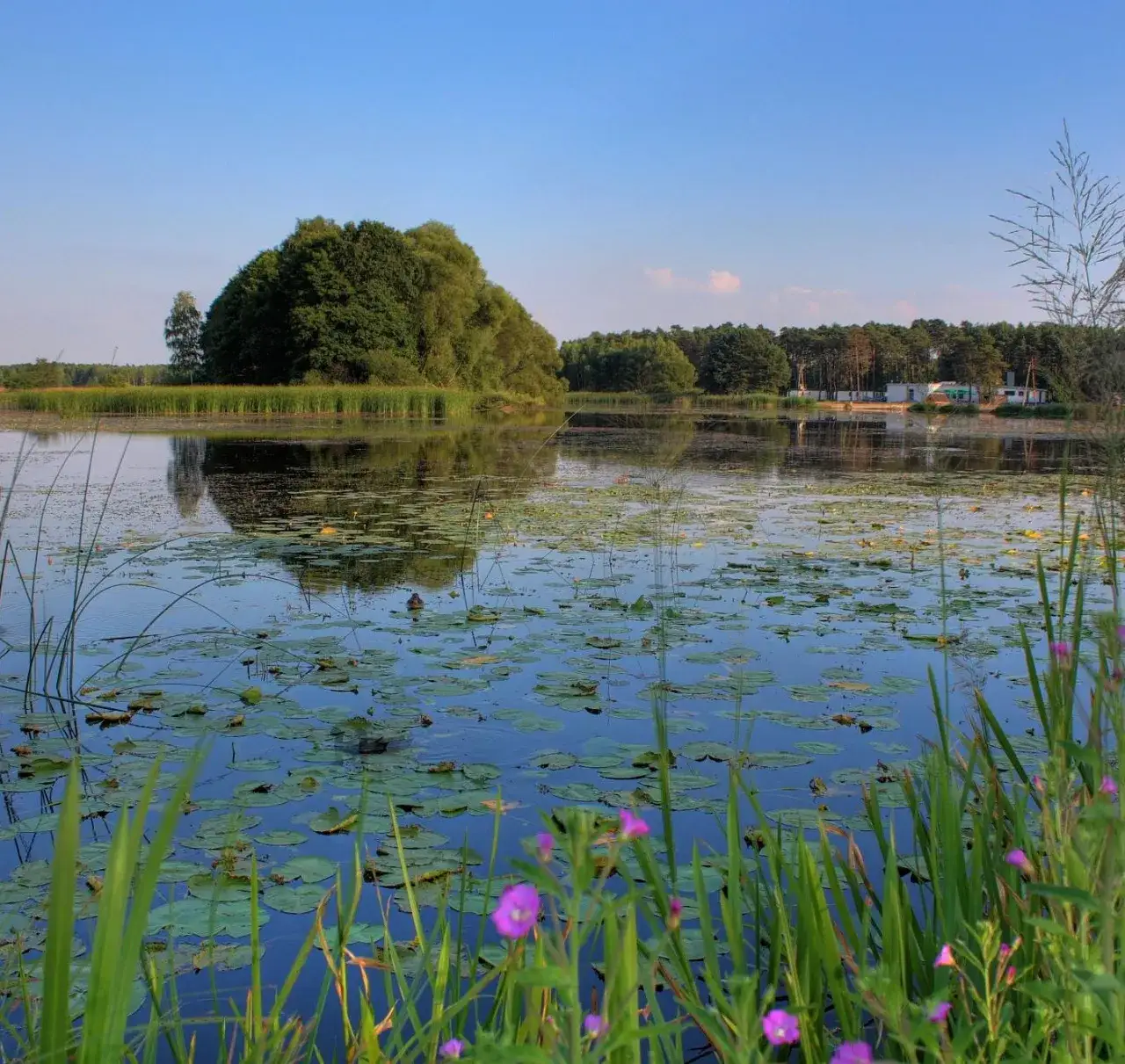 Kalety atrakcje, które zaskoczą każdego turystę i zapewnią niezapomniane chwile