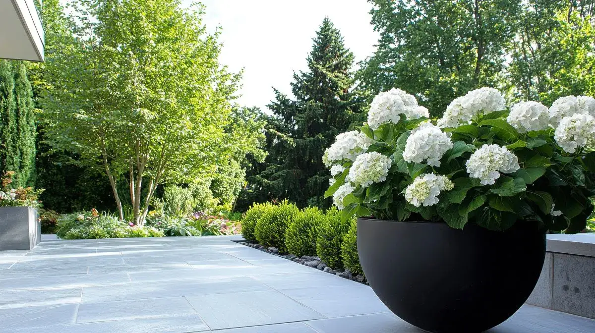 Jakie kwiaty do wysokich donic na taras, aby uniknąć rozczarowania?