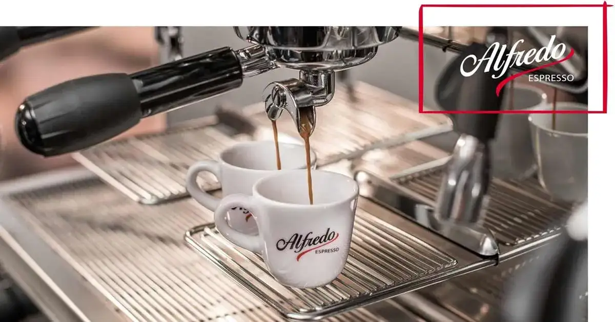 Gdzie kupić kawę Alfredo? Sprawdź najlepsze oferty i ceny