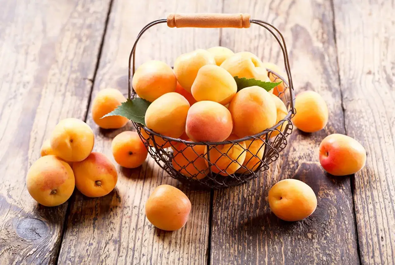 Kosz pełen soczystych moreli Early Orange na drewnianym blacie.