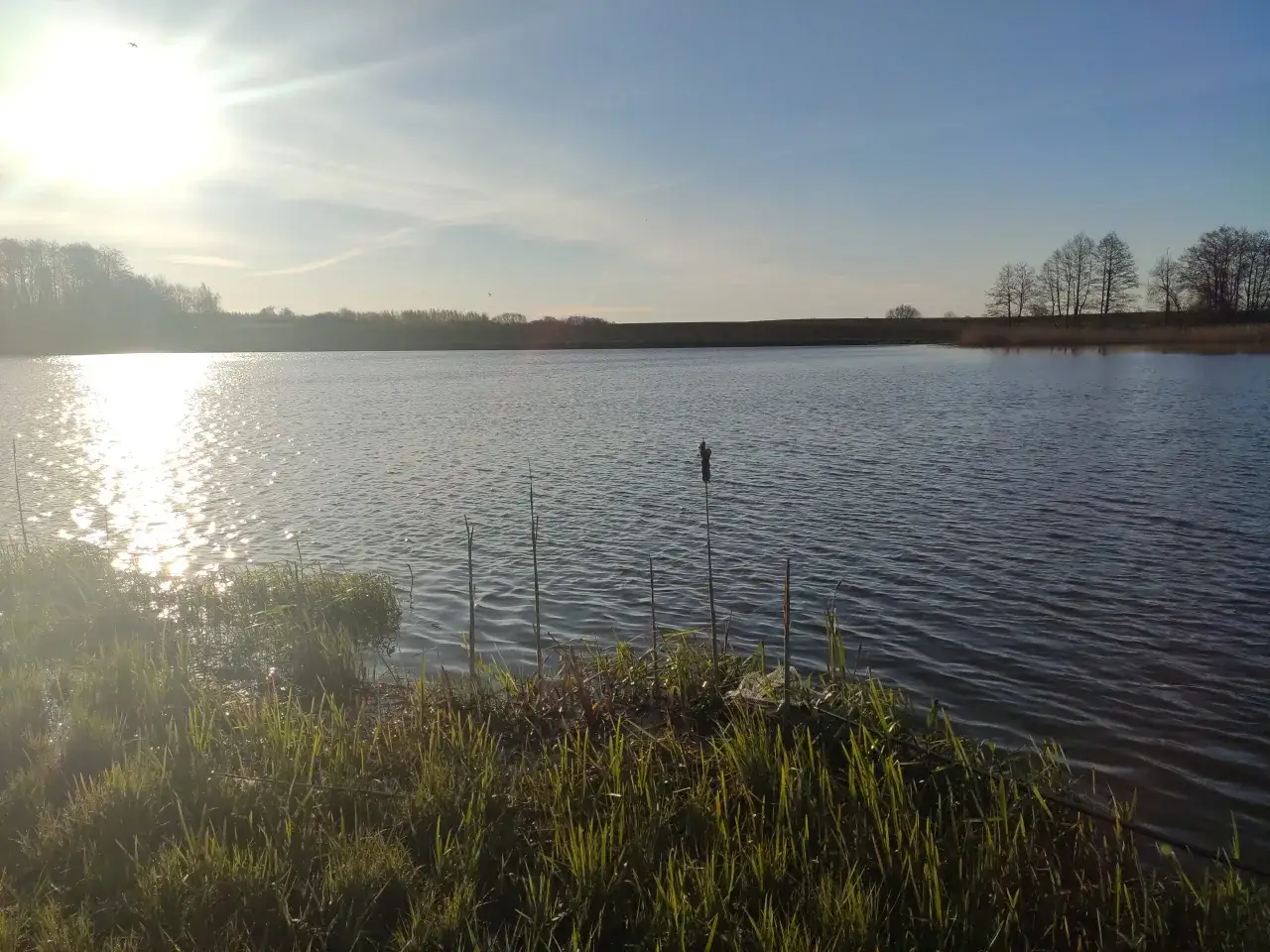 Łowisko Milejewo: Wszystko, co musisz wiedzieć przed wędkowaniem