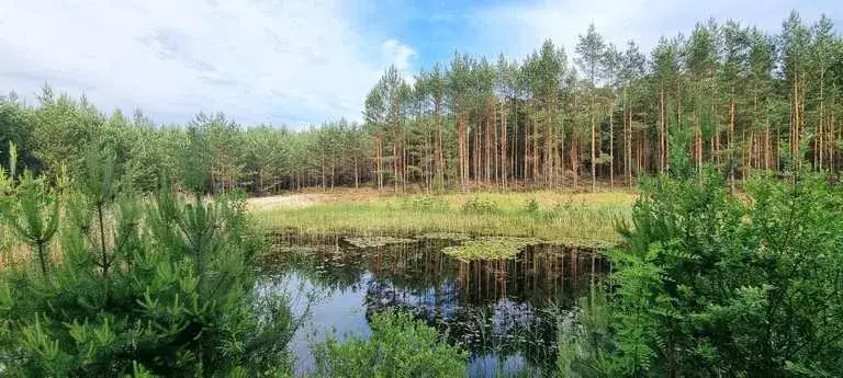 Najciekawsze atrakcje w Kluczborku, które musisz zobaczyć