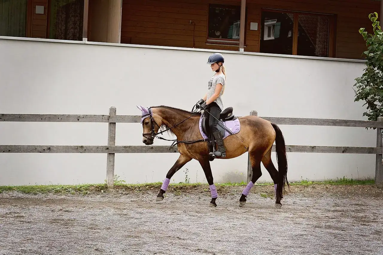 Jeździectwo klasyczne: historia, techniki i różnice w stylach jazdy
