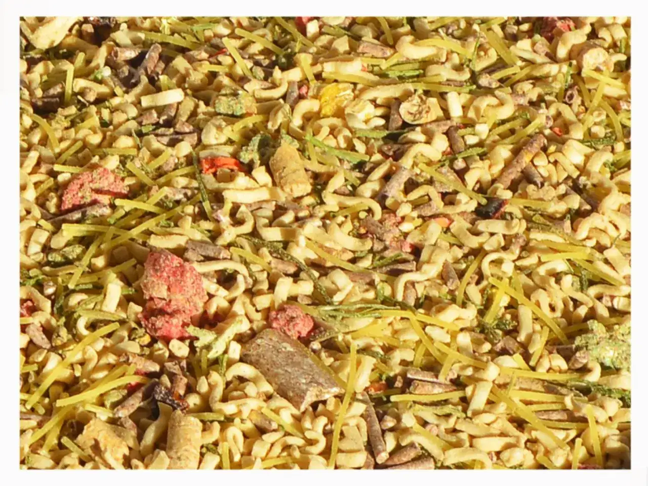 Makaron dla psa: Jaki wybrać i jak podać, by nie zaszkodzić?