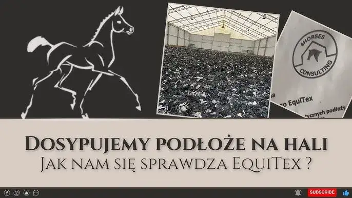 Equita System: Uporządkuj stajnię i zwiększ zyski recenzja